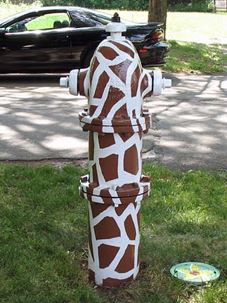 Giraffe - 437 S Wisconsin (2)